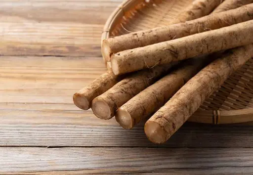 Burdock root vegetable also known as Gobo canada