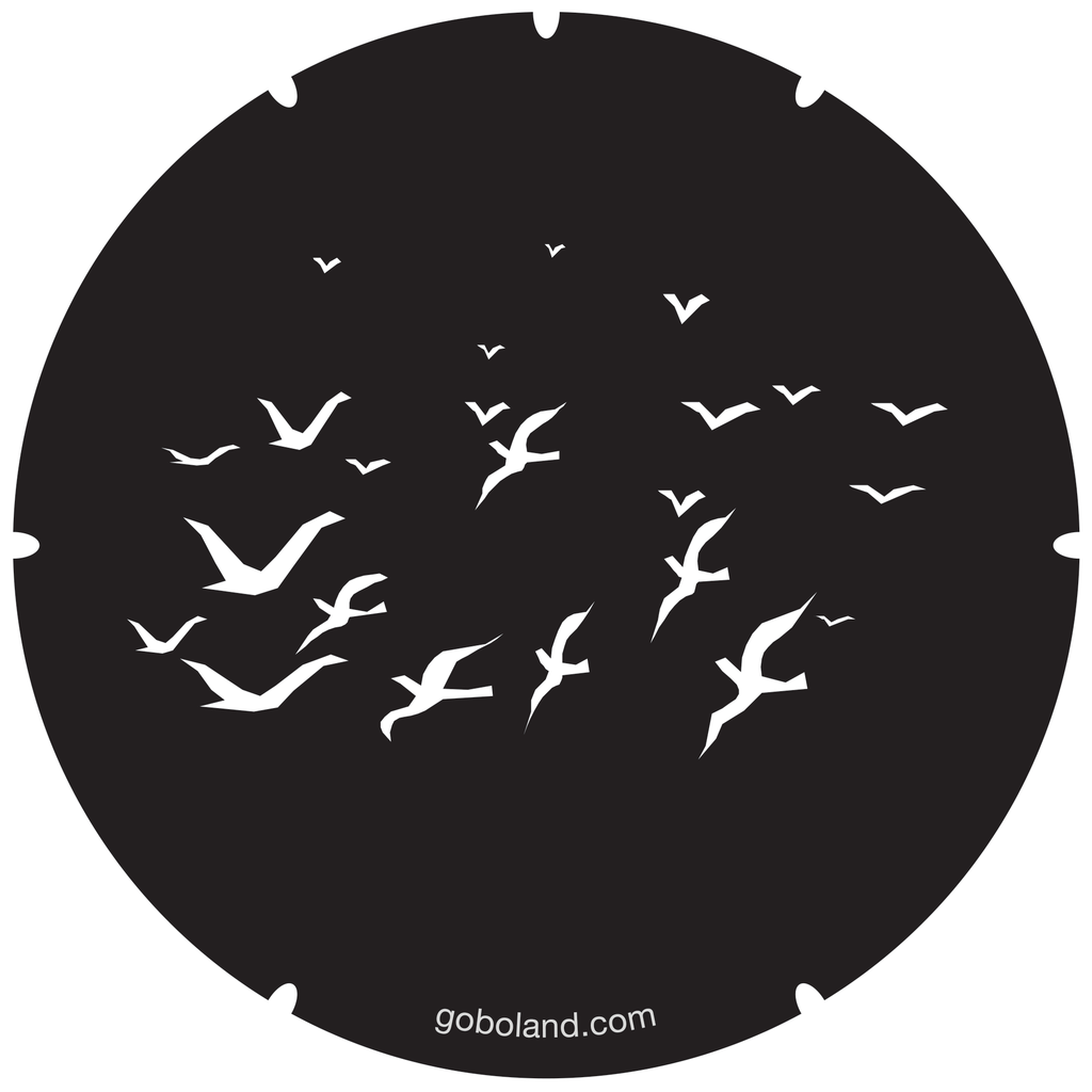 2 250 005 - Flock Of Birds