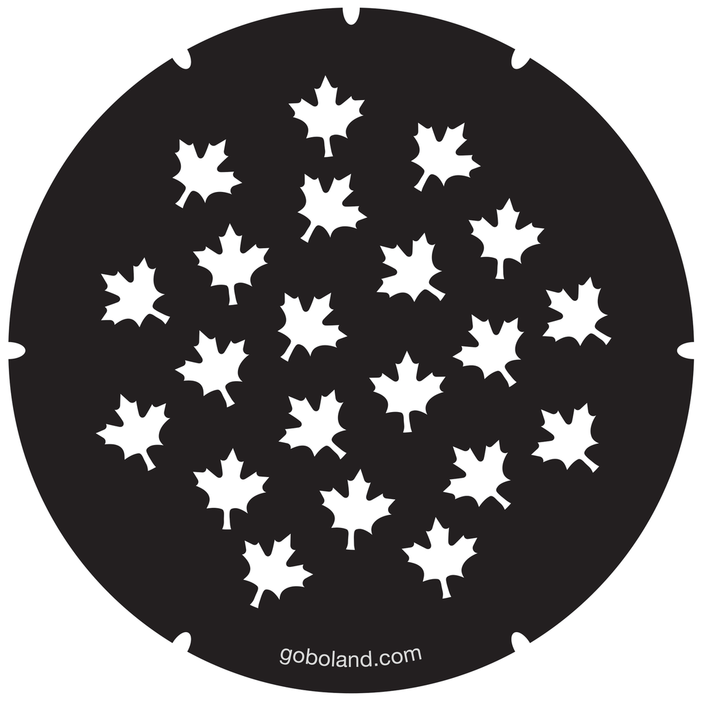 2 260 073 - Canadian Leaves