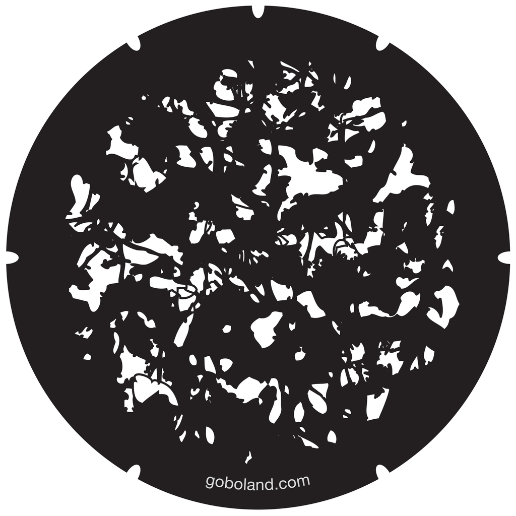 2 280 006 - Dappled Light 6