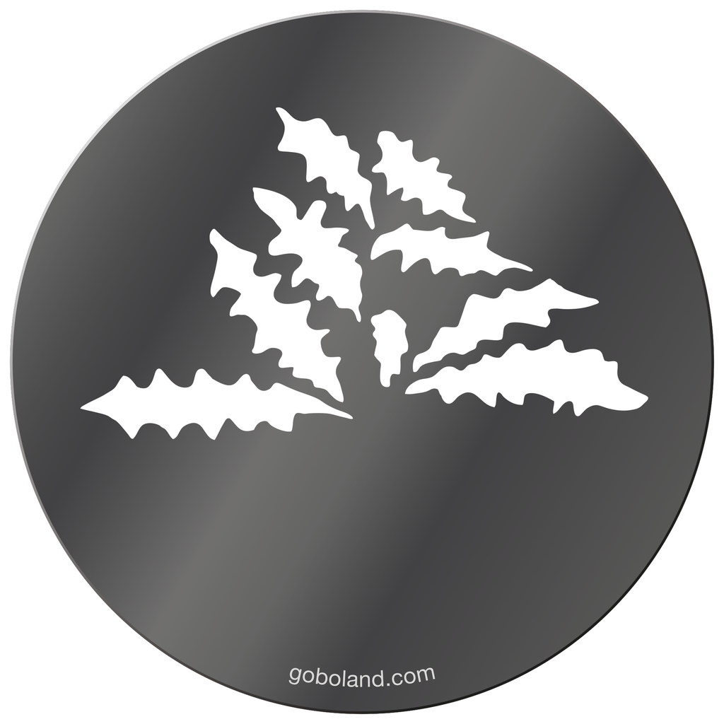 1 260 036 - Dandelion