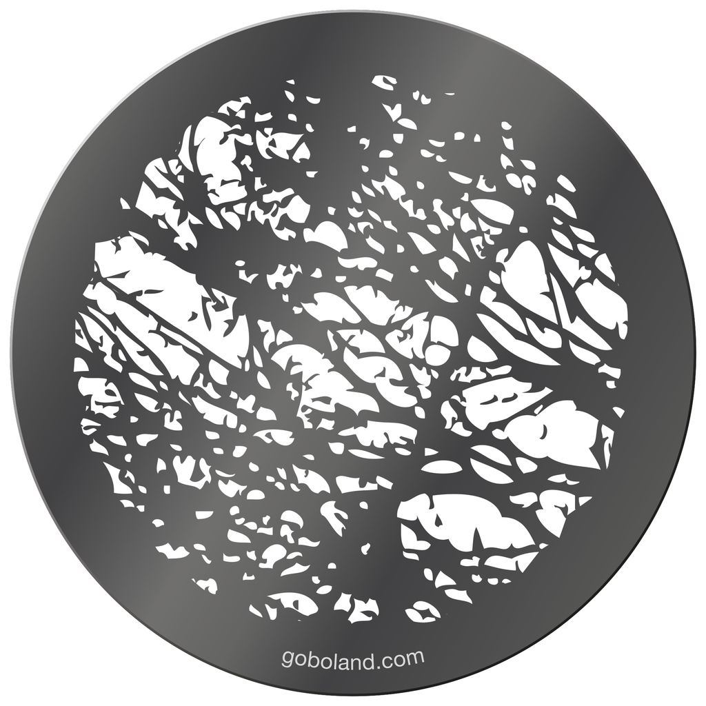 1 280 002 - Dappled Light 2