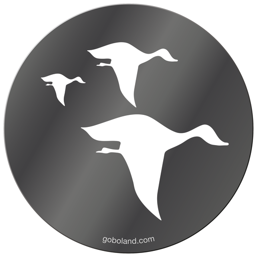 1 250 004 - Flying Birds