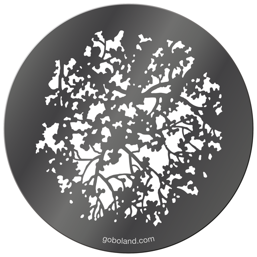 1 260 015 - Tree Blossoms