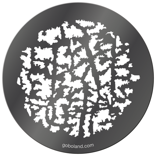 1 260 047 - Forest Branches