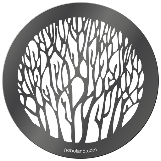 1 270 035 - Winter Branches