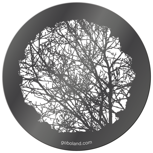 1 285 004 - Branches 4