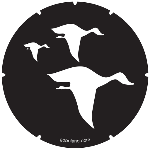 2 250 004 - Flying Birds