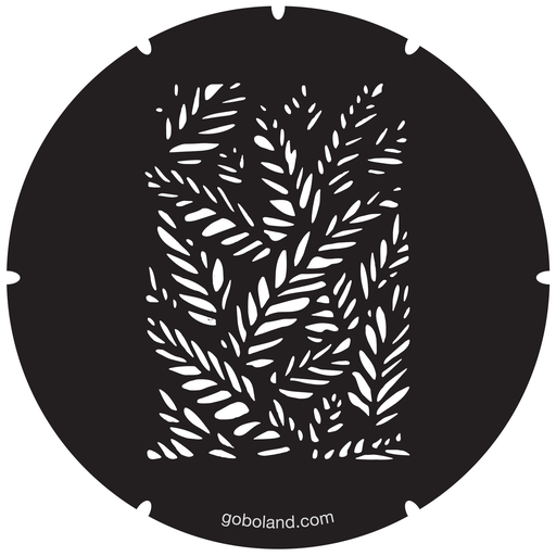 2 260 028 - Fern